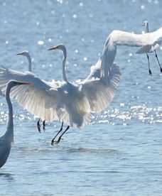 Jakie będą kolejne miesiące?