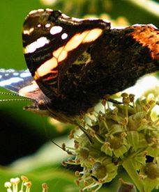 Prognoza pogody na weekend