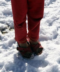 Bliski Wschód: fala zimna dotyka Syryjczyków