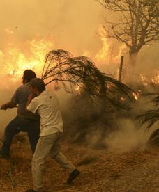 Pożary w Portugalii i w Stanach Zjednoczonych