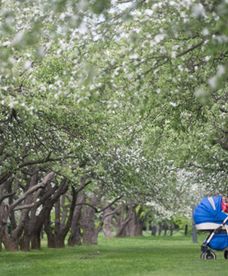 Prognoza długoterminowa