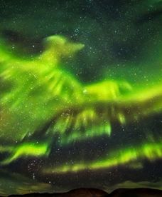 Feniks ukazał się na niebie