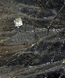 Miejsce katastrofy airbusa