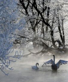 Niezwykłe, ważne odkrycie brytyjskich naukowców