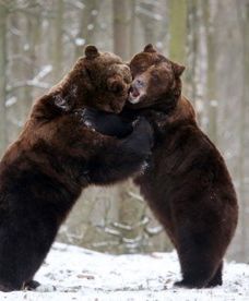 Zimy w Polsce aż do wiosny?