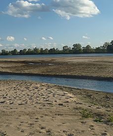 Wisła płytsza z każdym dniem