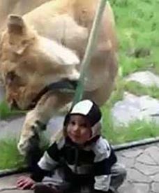 Filmowy przegląd tygodnia