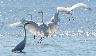 Jakie będą kolejne miesiące?