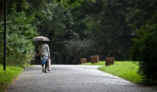 Fatalna pogoda w długi weekend