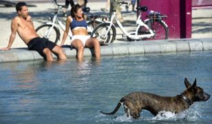 Sezonowa prognoza pogody