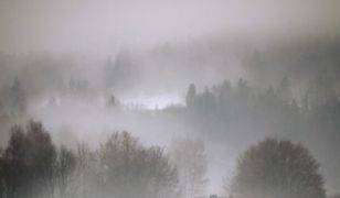 Prognoza długoterminowa - powoli nadchodzi ocieplenie