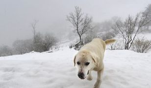 Późne ataki zimy w Polsce