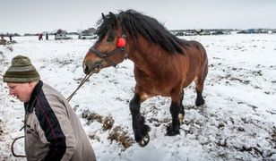 Nadchodzi okres rekordowych mrozów