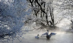 Niezwykłe, ważne odkrycie brytyjskich naukowców