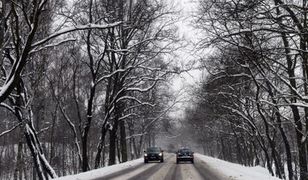 Prognoza długoterminowa - styczniowy standard