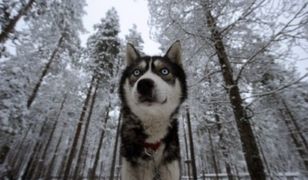 Nadchodzi globalne... ochłodzenie?