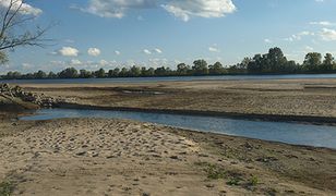 Wisła płytsza z każdym dniem