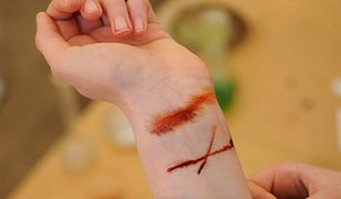 Festiwal Nauki i Sztuki w Toruniu