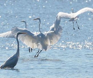 Jakie będą kolejne miesiące?