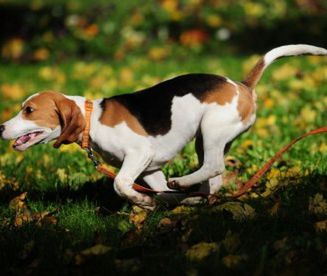 Prognoza długoterminowa - deszcz nas opuścił