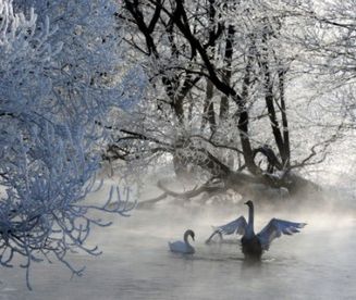 Niezwykłe, ważne odkrycie brytyjskich naukowców