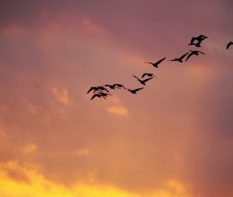 Polskę czeka ekstremalna pogoda! Prognoza długoterminowa