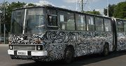 Autobus jak zebra