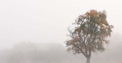 Prognoza długoterminowa - nastąpi duża zmiana