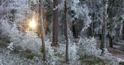 Prognoza długoterminowa - wraca zima, ale śniegu będzie mało