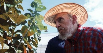 Fidel Castro udowadnia, że... nadal żyje
