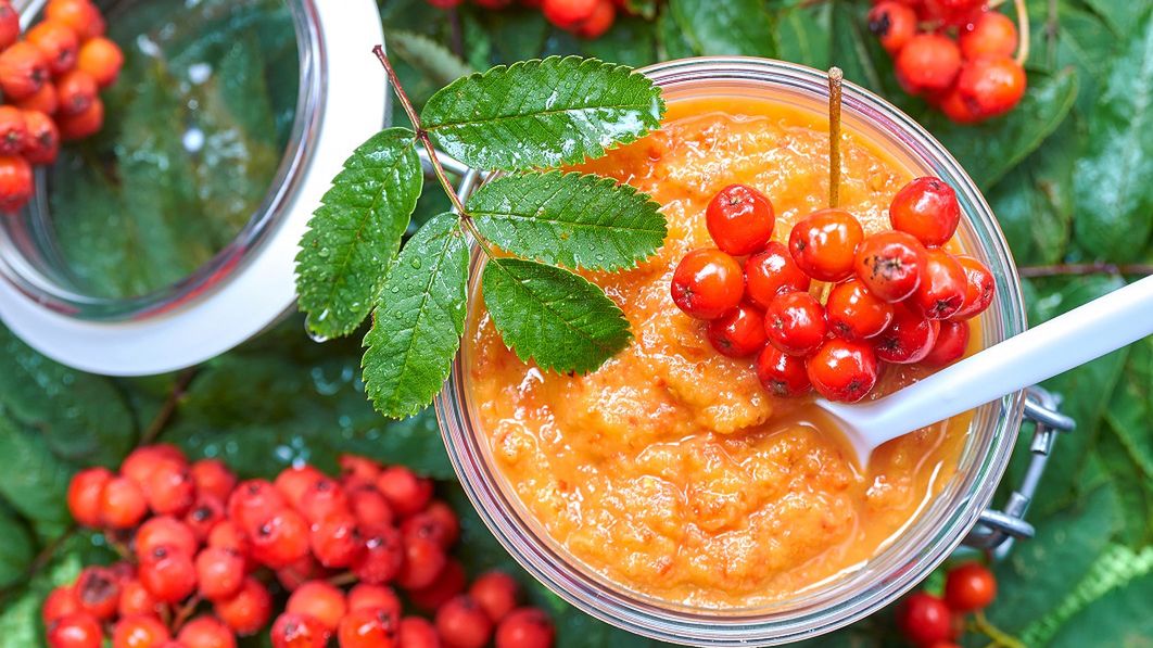 Nalewka z jarzębiny wspomoże układ trawienny