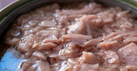 Kluczowa dla mózgu i żołądka. Tu jest najwięcej życiodajnej witaminy