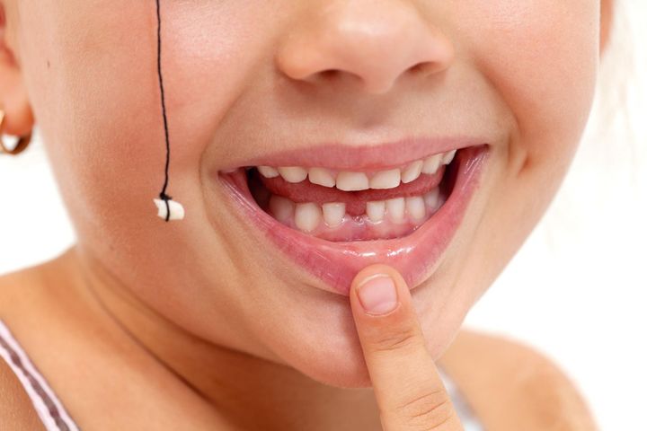 Zęby mleczne a komórki macierzyste