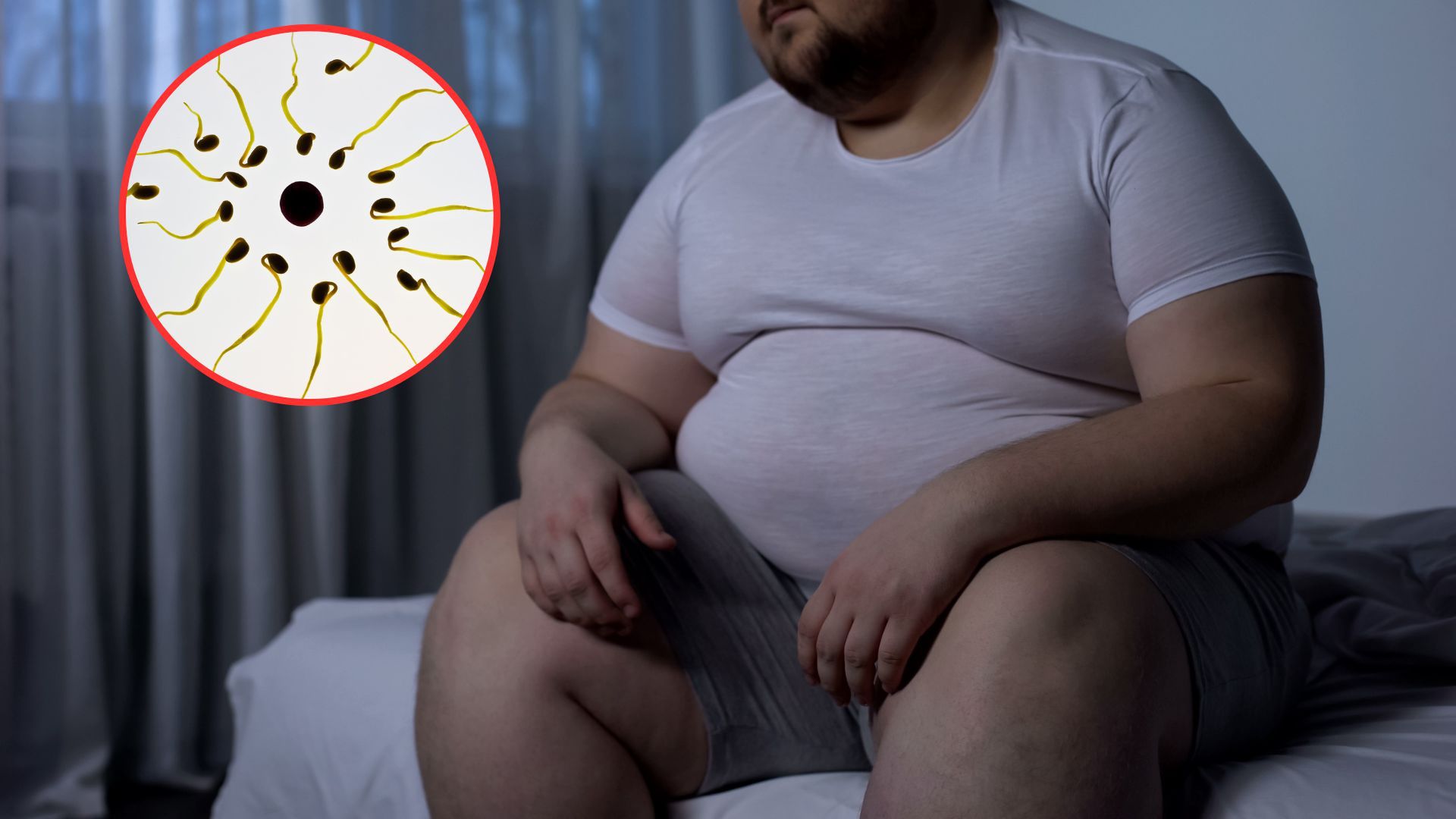 Bezpłodność u mężczyzn