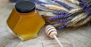 Miód lawendowy – skład, właściwości i zastosowanie