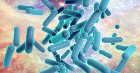 Bakterioskopia – metoda diagnostyki mikrobiologicznej