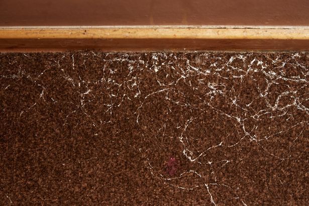 Ślady ślimaków na wykładzinie