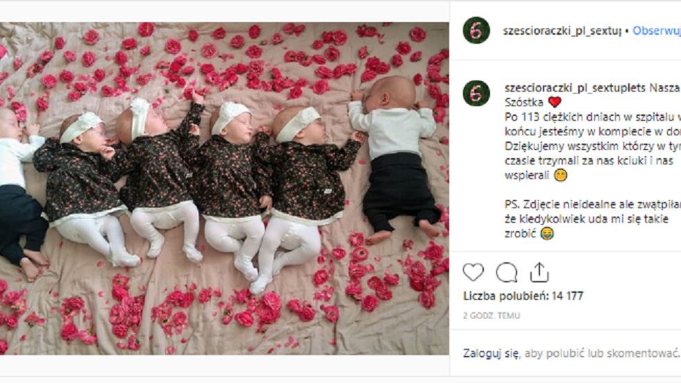 Sześcioraczki z Krakowa są już w domu. Mama wrzuciła urocze zdjęcie