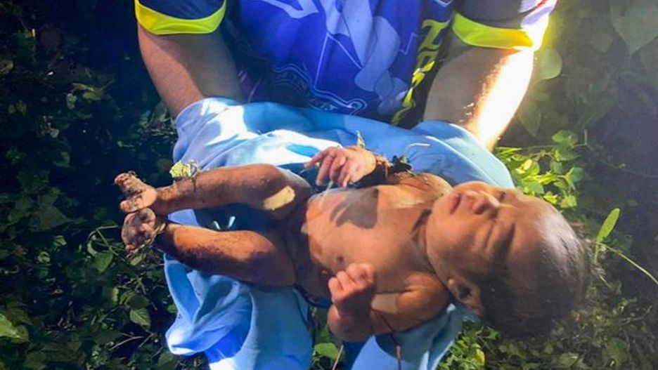 Noworodek znaleziony żywy w lesie. Nie mogli uwierzyć, że przeżył