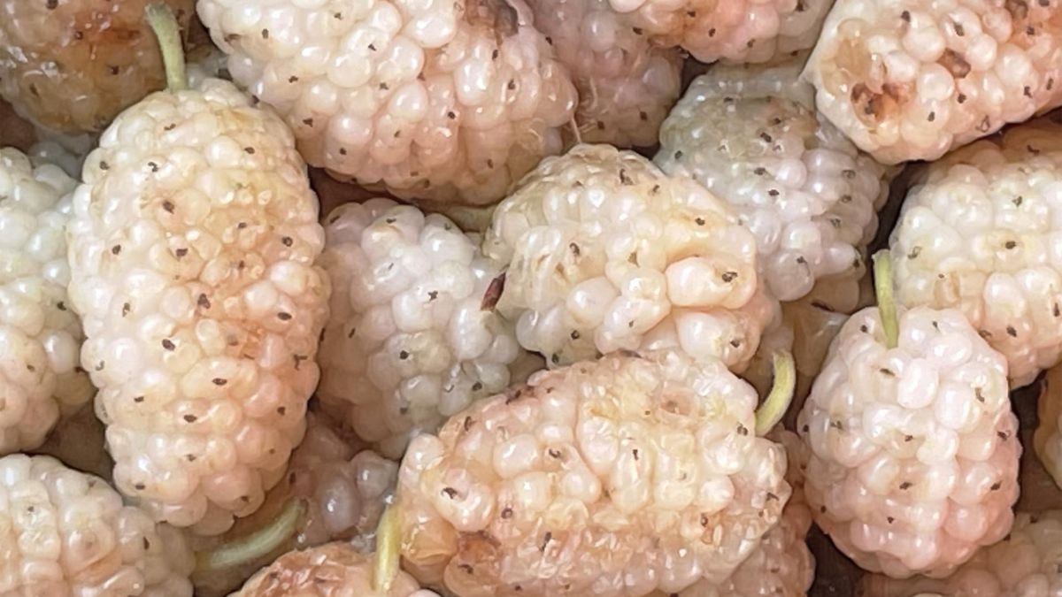 "Biała jeżyna" ma niesamowite właściwości