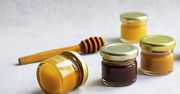 Miód słonecznikowy – właściwości i zastosowanie