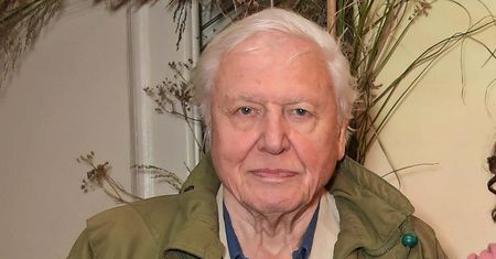 David Attenborough ma 96 lat. Twierdzi, że długowieczność to zasługa wykluczenia tego produktu