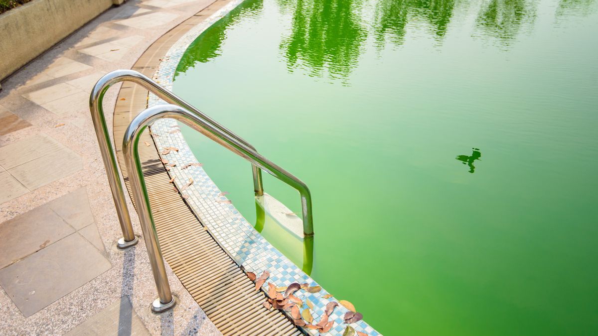 Dodaj do wody w basenie, a będzie krystalicznie czysta