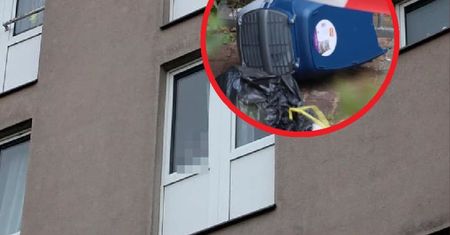 Wyrzuciła 2-latkę w kontenerze dla kota. Dramat na berlińskim osiedlu