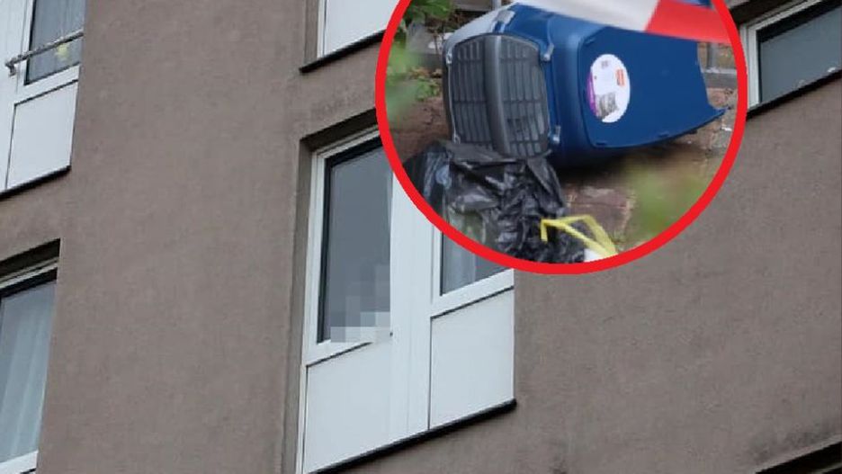 Dziecko zostało wyrzucone z 3. piętra. Dziewczynka została włożona do transportera dla zwierząt