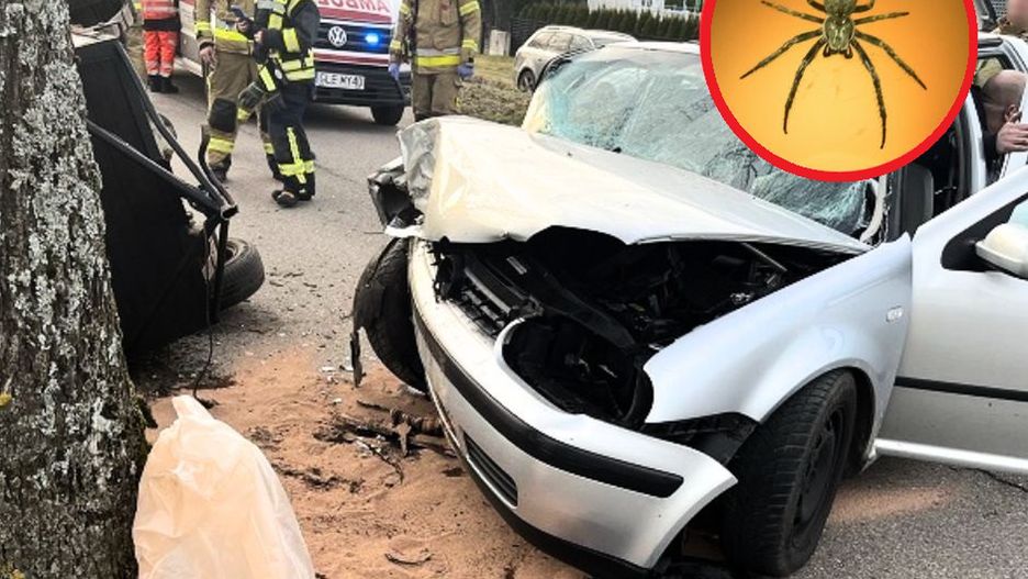 Ojciec wiózł dwie córki. Nagle jedna z nich zaczęła przeraźliwie krzyczeć