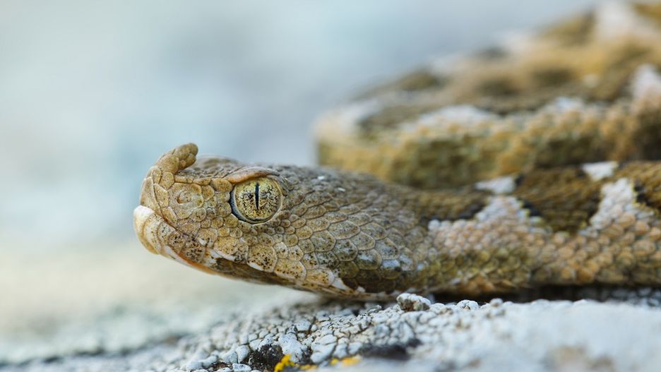 Śmiertelne niebezpieczeństwo w popularnym kurorcie. Siedmiolatek trafił do szpitala