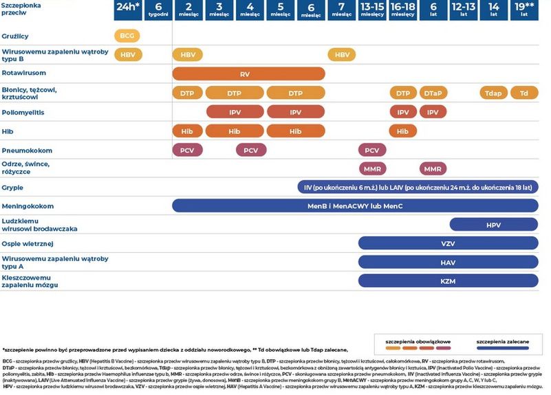 Program szczepień ochronnych na rok 2022 r. w Polsce 