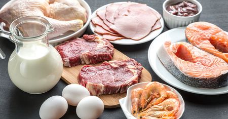 Dieta uboga w węglowodany skraca życie. Wyniki badań