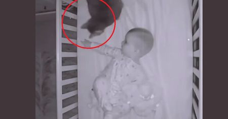 Maluch zaczął płakać. Niesamowite, co zrobił kot
